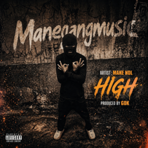 mane ndl _ high mp3 download.