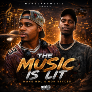 mane ndl & gok stylez_the music is lit mp3 download
