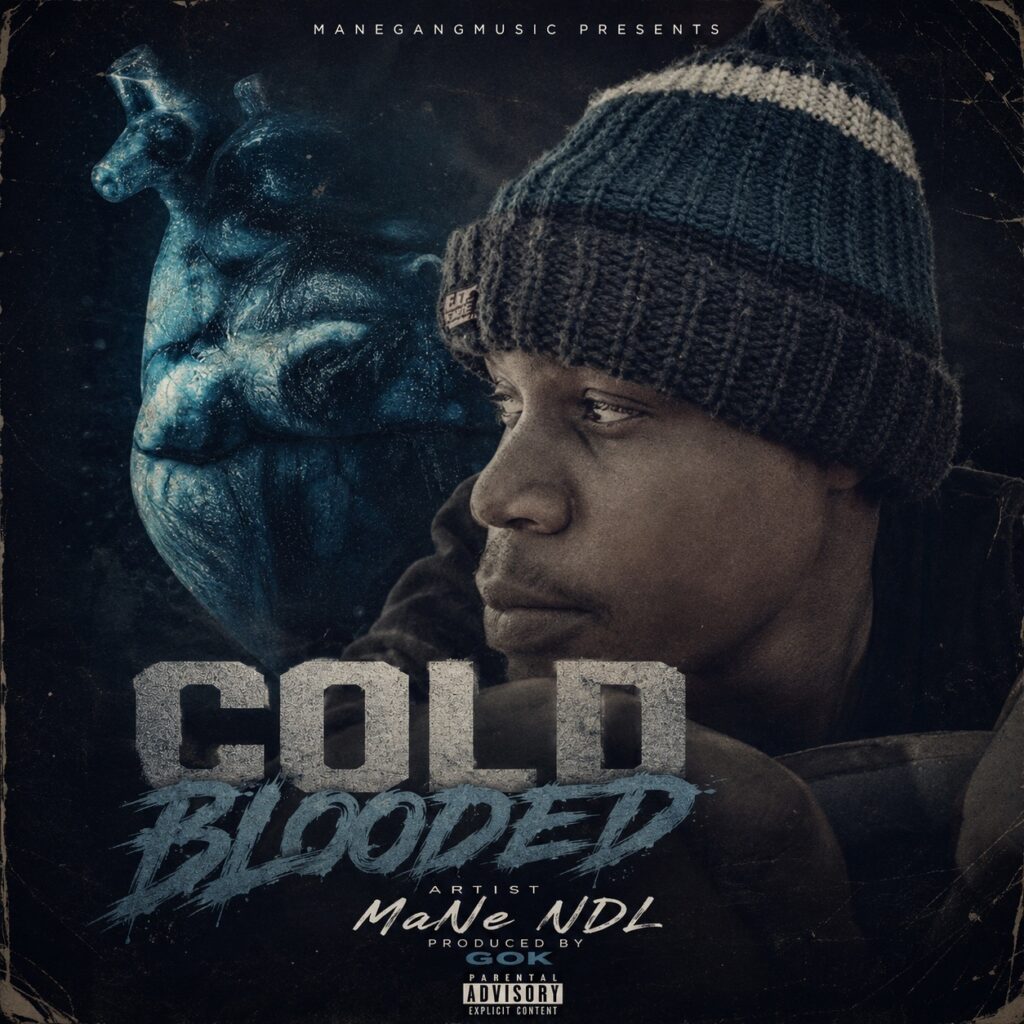 MANE NDL_COLDBLOODED MP3 DOWNLOAD. cold blooded cover under 1mb