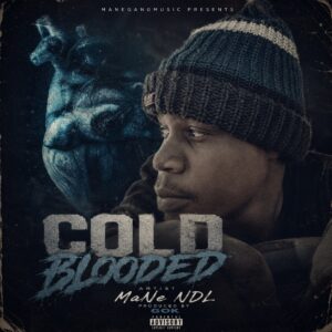 MANE NDL_COLDBLOODED MP3 DOWNLOAD.